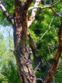/album/kepgaleria-fenykepgaleria/kep-024-jpg/